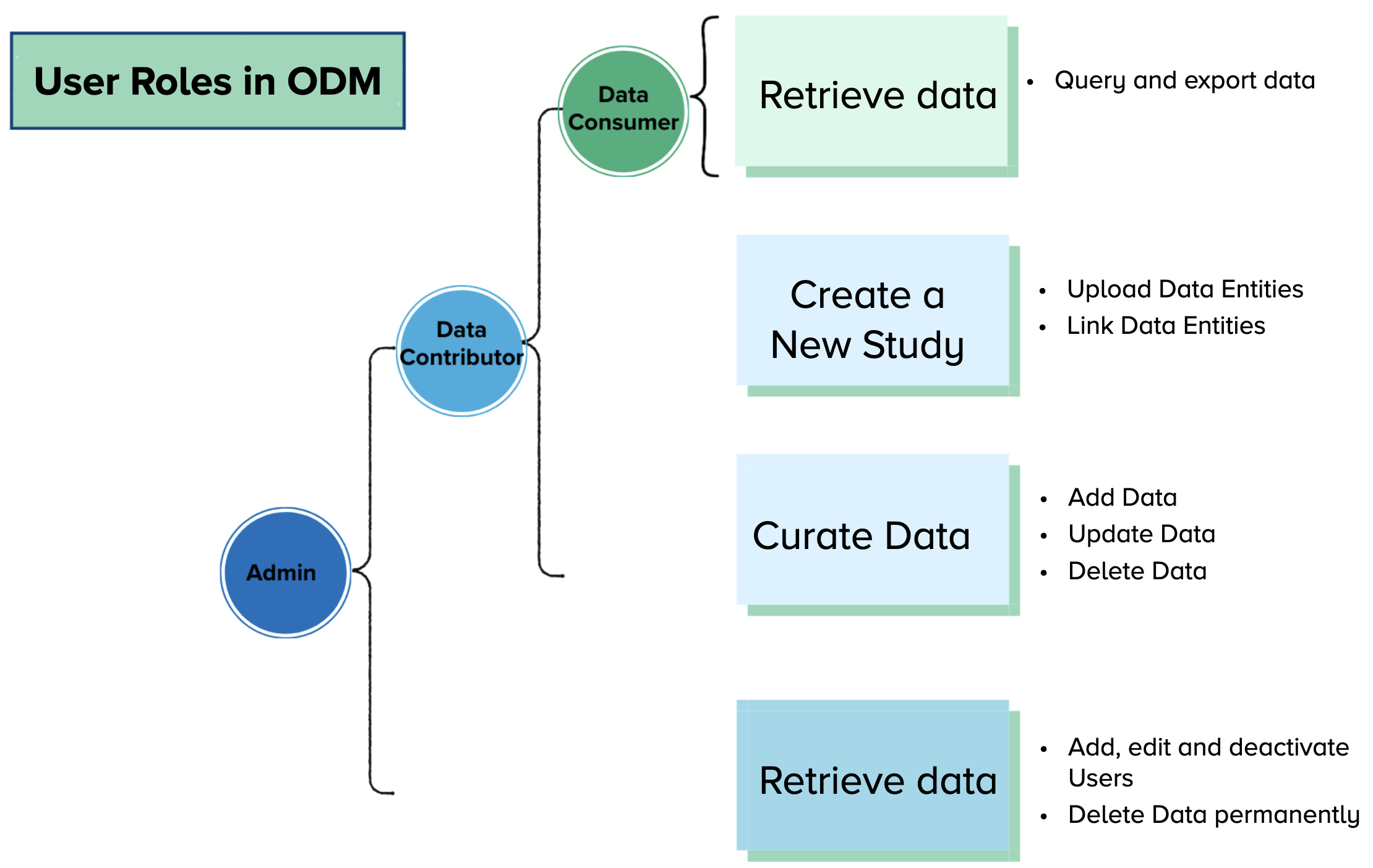 User Roles Diagram