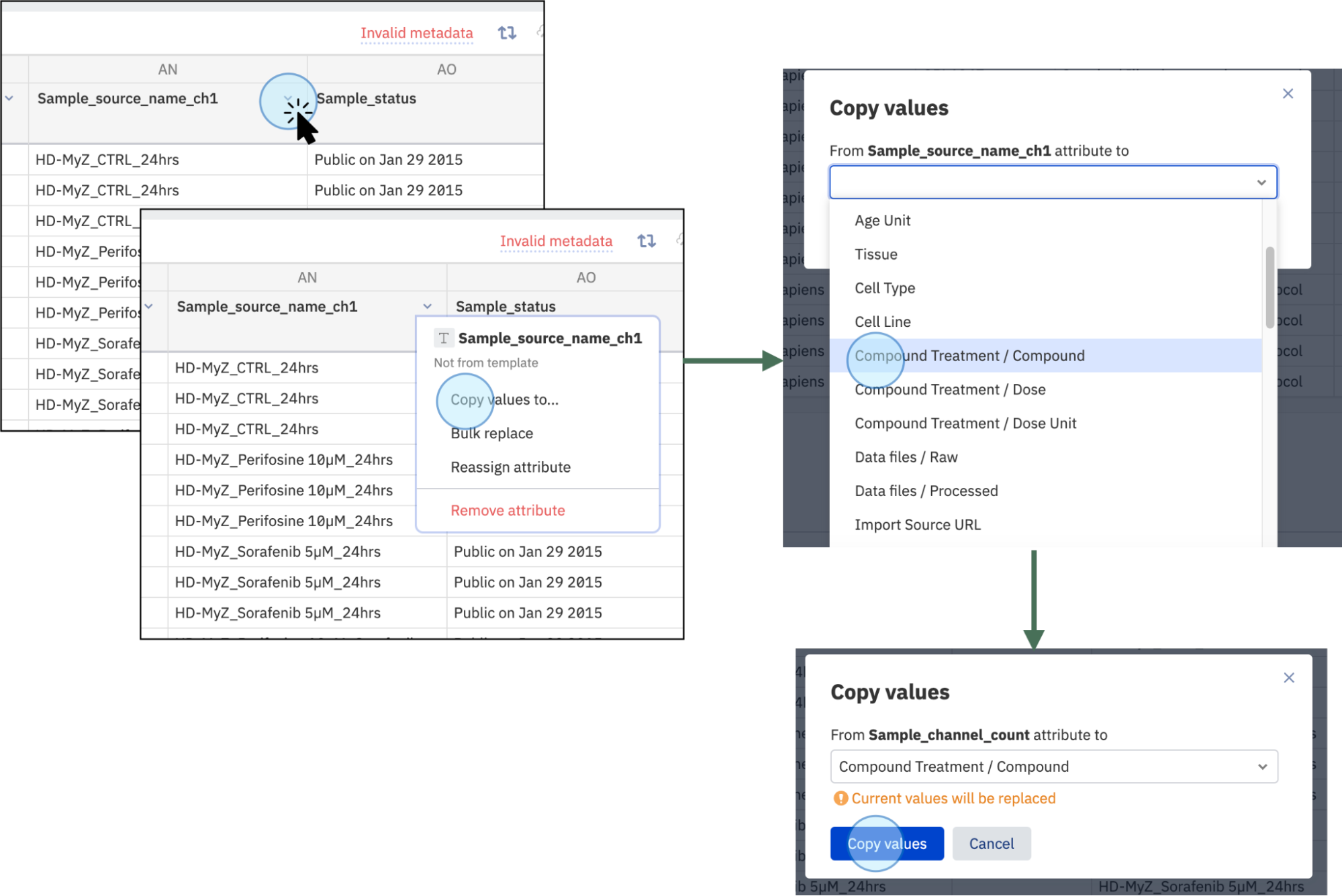 Copy Data