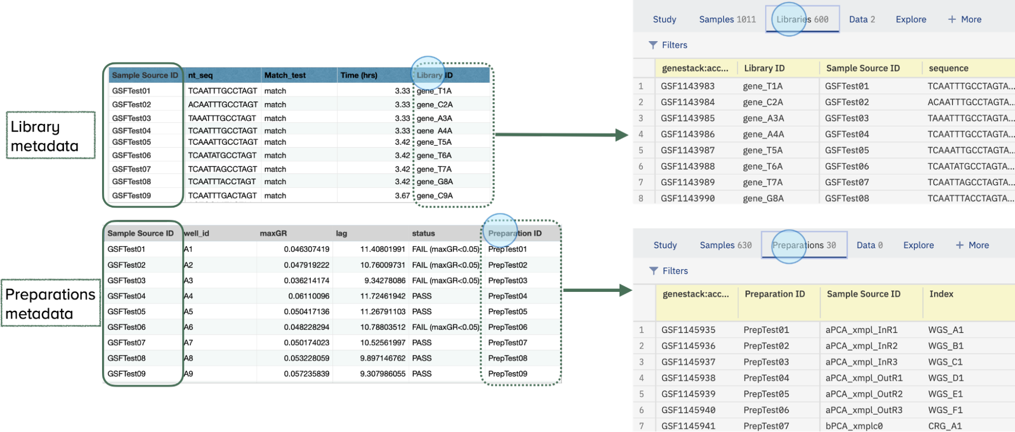 Link Libraries